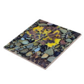 schlichte Überschwemmung von Baumwollenholz Fliese (Seite)