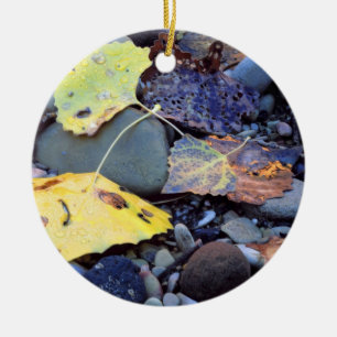 schlichte Überschwemmung von Baumwollenholz Keramik Ornament