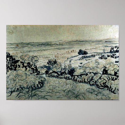 Schlichte von La Crau Van Gogh Poster (Vorne)