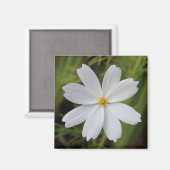 Schlichte weiße Schönheit Magnet (Vorderseite/Rückseite)