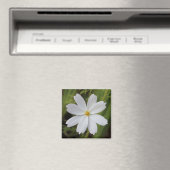 Schlichte weiße Schönheit Magnet (In Situ (Geschirrspüler))
