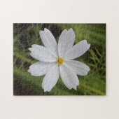 Schlichte weiße Schönheit Puzzle (Horizontal)