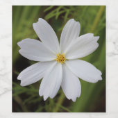 Schlichte weiße Schönheit Weinetikett (Einzelnes Label)