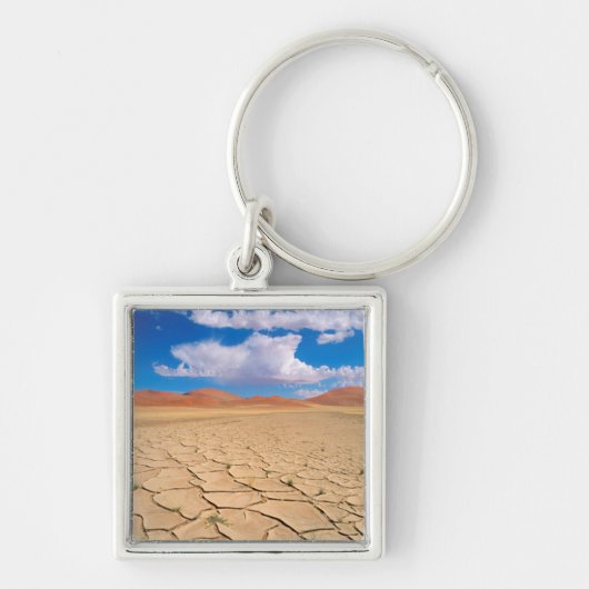 schlichte Wüste Schlüsselanhänger (Vorne)