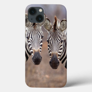 Schlichte Zebras, Krüger Nationalpark Case-Mate iPhone Hülle