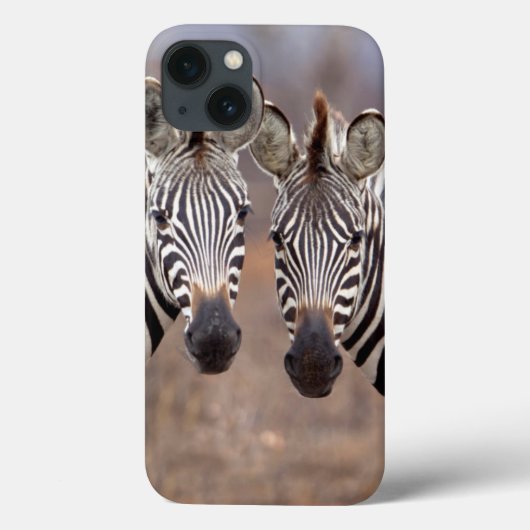 Schlichte Zebras, Krüger Nationalpark Case-Mate iPhone Hülle (Rückseite)