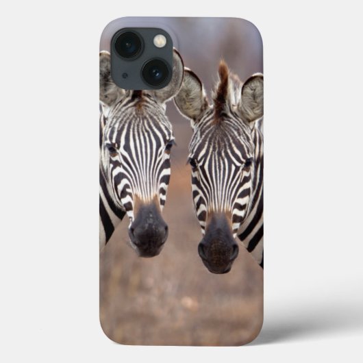 Schlichte Zebras, Krüger Nationalpark Case-Mate iPhone Hülle (Rückseite)