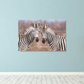 Schlichte Zebras, Krüger Nationalpark Leinwanddruck (Insitu (Holzboden))