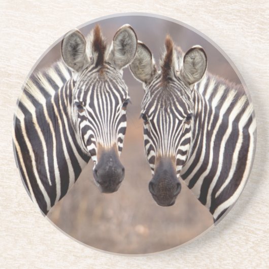 Schlichte Zebras, Krüger Nationalpark Sandstein Untersetzer (Vorne)
