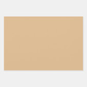 Schlichter dunkler Knochen Burlywood Tan Shades 3  Geschenkpapier Set (Vorderseite 3)
