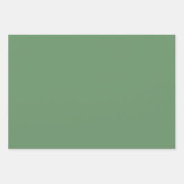 Schlichter Kreml Limon-Gelbe Grüne Schattierungen  Geschenkpapier Set