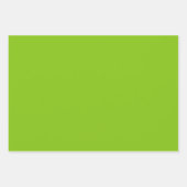 Schlichter Massivpapagei, leuchtend grün Geschenkpapier Set (Vorderseite)