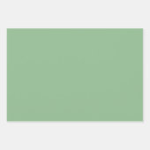 Schlichter Ostakzentuent Meeresgrün schimmert 3 Tö Geschenkpapier Set (Vorderseite 3)