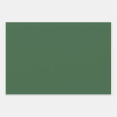 Schlichter spanischer Hunter Texas Green Shades 3  Geschenkpapier Set (Vorderseite 2)