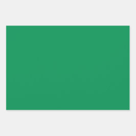 Schlichter spanischer Hunter Texas Green Shades 3  Geschenkpapier Set