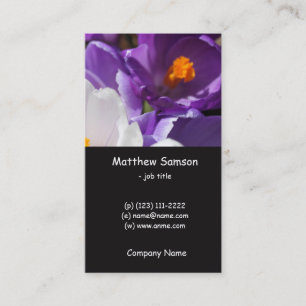 schlichter Stil, weiße und lila Crocus-Blume Visitenkarte