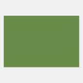 Schlichtes Kleeblatt Pigment Sap Grüne Farbtöne 3  Geschenkpapier Set (Vorderseite 3)