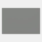 Schlichtes Nevada Nickel Altes Silber Grau Shades Geschenkpapier Set (Vorderseite 2)