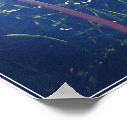 Schlichtheit ist schön poster (Ecke)