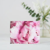 Schließen eines rosa Peony Painting Postkarte (Stehend Vorderseite)