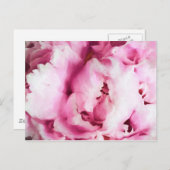 Schließen eines rosa Peony Painting Postkarte (Vorne/Hinten)