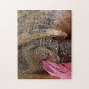 Schließen Schnecke Esspapier Bizarre Puzzle