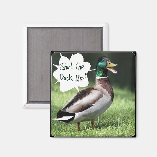Schließen Sie das Duck Up Magnet (Vorderseite/Rückseite)