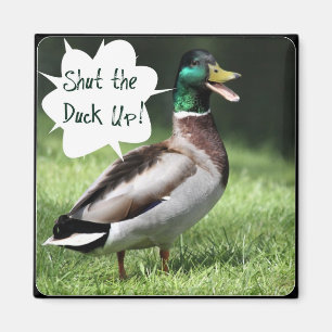 Schließen Sie das Duck Up Magnet