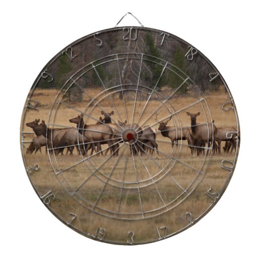 SCHLIESSEN SIE DAS Elk Dart Board Dartscheibe (vorne)