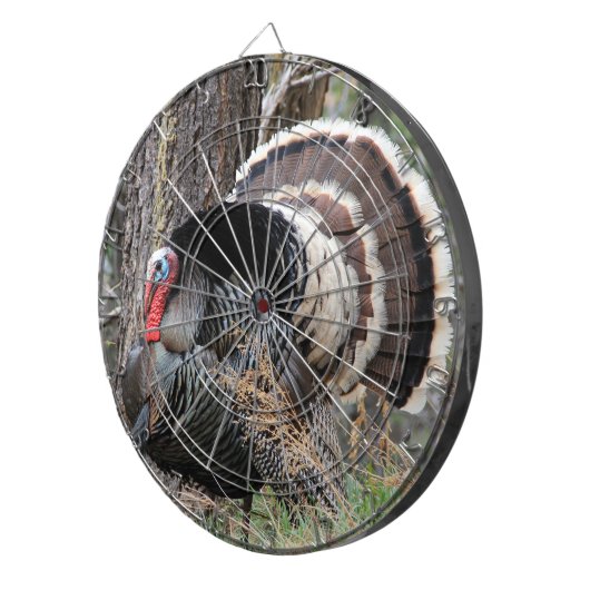 SCHLIESSEN SIE DIE TÜRKEI-STARTPLATTE DARTSCHEIBE (Vorderseite rechts)