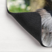 Schließen Sie verschiedene Spinnen Affen Postkarte Mousepad (Ecke)