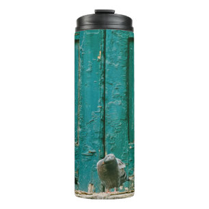 SCHLIESSENDES FOTO VON ZWEI GRAUEN SCHWEINEN AUF G THERMOSBECHER