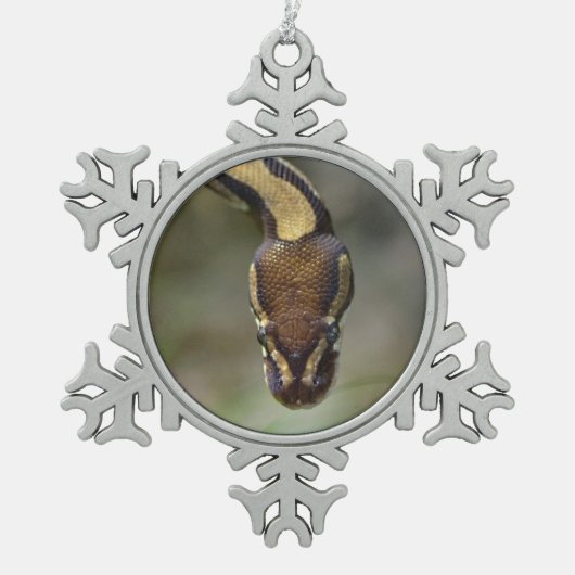 Schließkugel Python Postcard Schneeflocken Zinn-Ornament (Vorderseite)