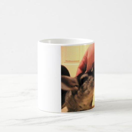 Schließlich Zuhause-Chinchilla-Tassen-Paprikas Kaffeetasse (Mittel)