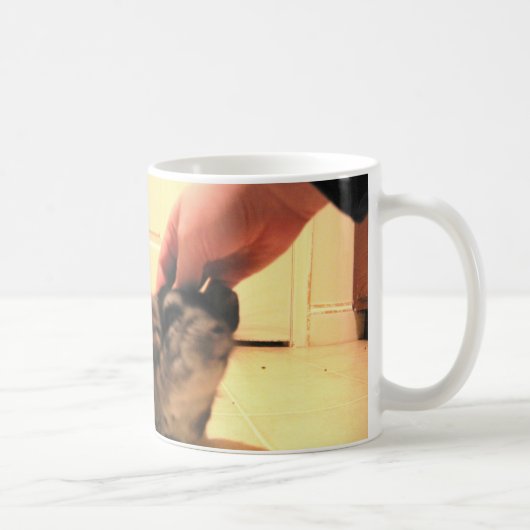 Schließlich Zuhause-Chinchilla-Tassen-Paprikas Kaffeetasse (Rechts)