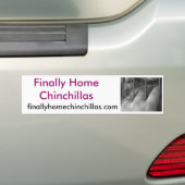 Schließlich Zuhause-Chinchillas, Paprikas Autoaufkleber (Auf Auto)