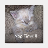 Schließmagnet ...Nickerchen-Zeit Magnet (Vorne)