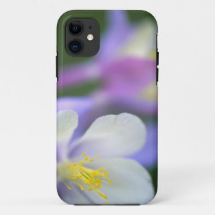Schließung der Blume Colorado Columbine. Case-Mate iPhone Hülle