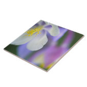 Schließung der Blume Colorado Columbine. Fliese (Seite)