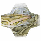 Schließung der indischen Python Fußball (Flach)