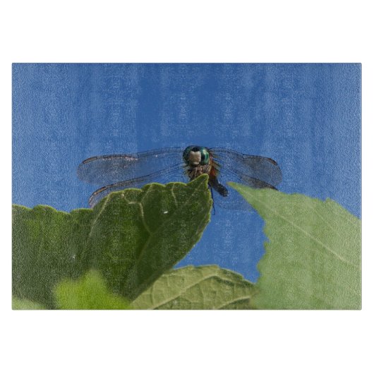 Schließung der Libelle gegen den hellblauen Himmel Schneidebrett (Vorderseite)