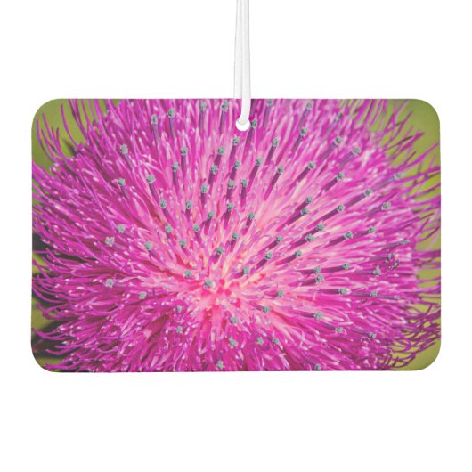 Schließung der Milchdistel Autolufterfrischer (Vorderseite)