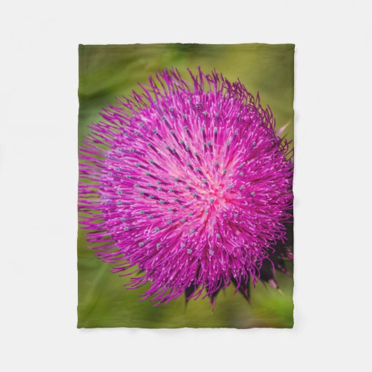 Schließung der Milchdistel Fleecedecke (Vorderseite)