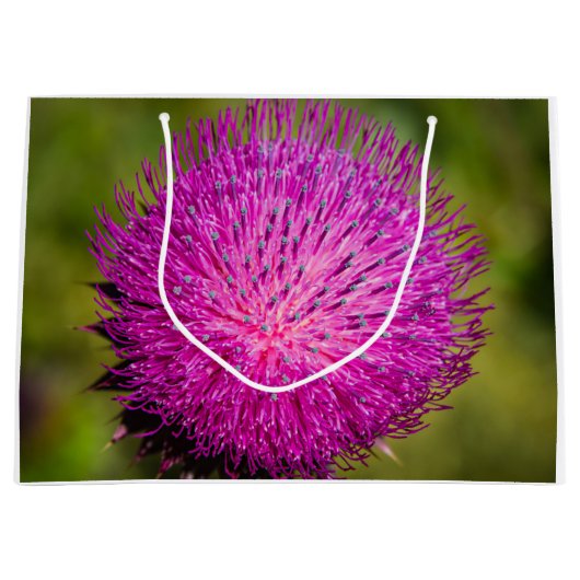 Schließung der Milchdistel Große Geschenktüte (Vorderseite)