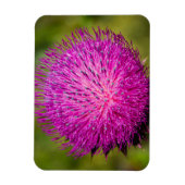 Schließung der Milchdistel Magnet (Vertikal)