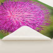 Schließung der Milchdistel Sherpadecke (3/4)