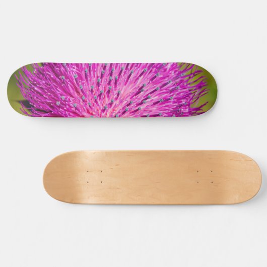 Schließung der Milchdistel Skateboard (Horizontal)