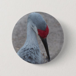 Schließung des Gesichts eines Sand Hill Crane Button