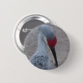 Schließung des Gesichts eines Sand Hill Crane Button (Vorne & Hinten)