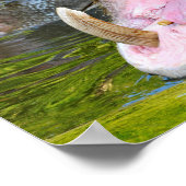 Schließung des Nilpferds Poster (Ecke)